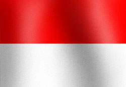 Indonesian national flag